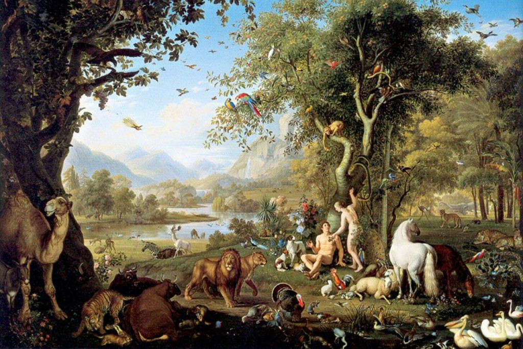 What does the creation story teach about gender and sex? - CBMW