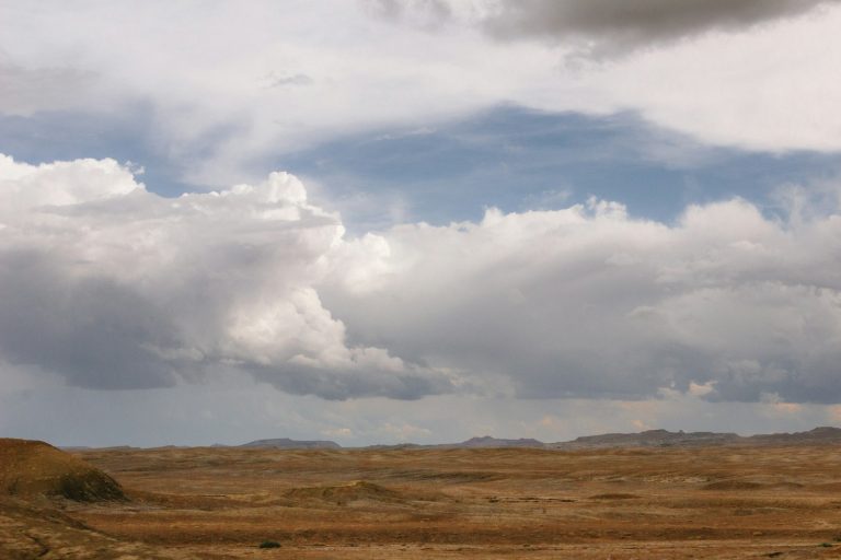 A lone giraffe standing in a field under a cloudy sky