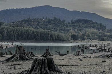 a large dam with trees in the background