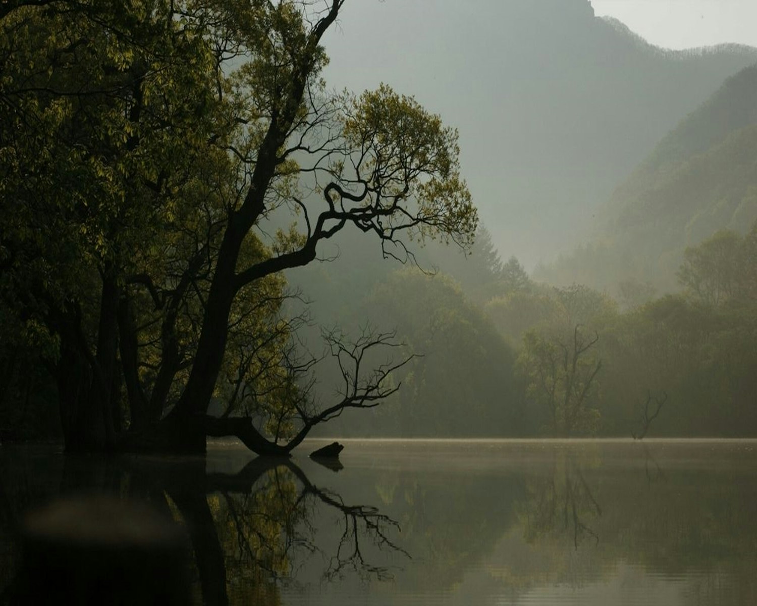 a body of water surrounded by trees and mountains